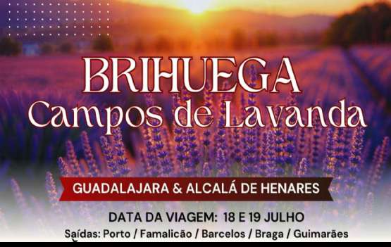 CAMPOS DE LAVANDA - APENAS 255€ 